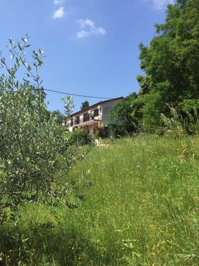Apartment Dedo, Salara Farmhouse Koper Dış mekan fotoğraf