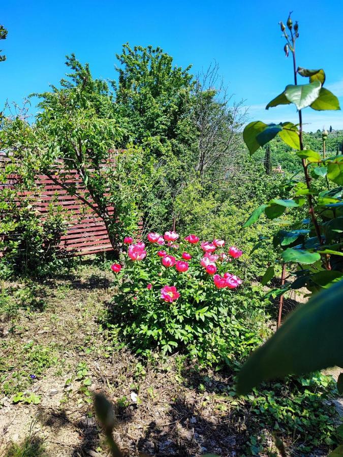 Apartment Dedo, Salara Farmhouse Koper Dış mekan fotoğraf